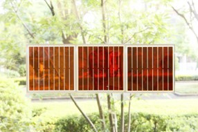 太陽電池を印刷