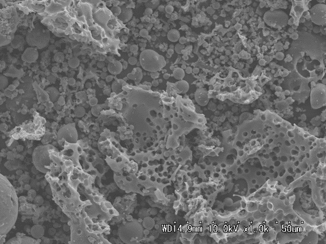 洗浄前石炭灰（14.1wt%）のSEM像