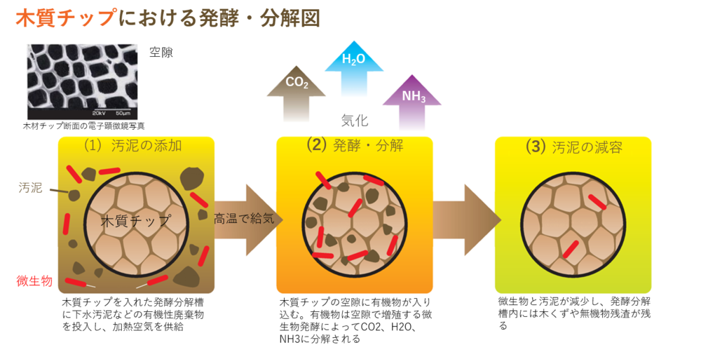 木質チップにおける発酵・分解図