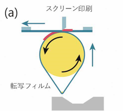 リバース型転写機構の原理1